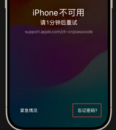 宜黄苹果手机密码维修分享iPhone忘记了刚设置的密码 