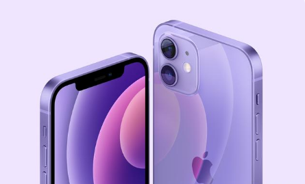 宜黄苹果手机维修分享紫色版iPhone 12有什么技术亮点 