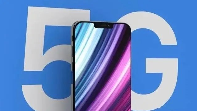 宜黄苹果手机维修分享iPhone12 pro怎么显示5G 
